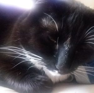 Meet your Posher, Deanna